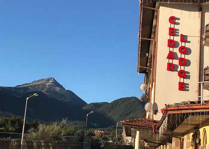 Zone At Gondola, Perfect, Fast Wifi, Quiet, Warm Apartment *